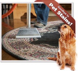 Park City Area Rug Cleaning Services